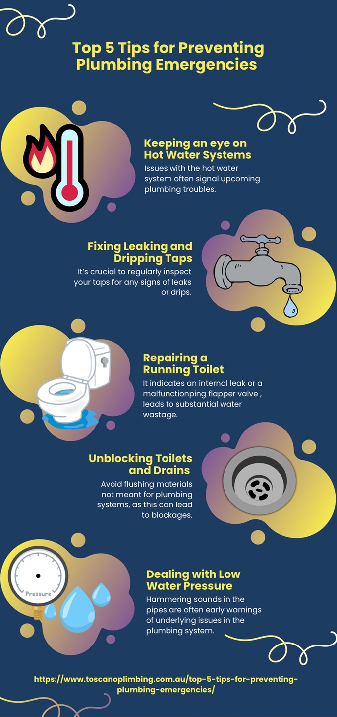preventing plumbing emergencies infographic