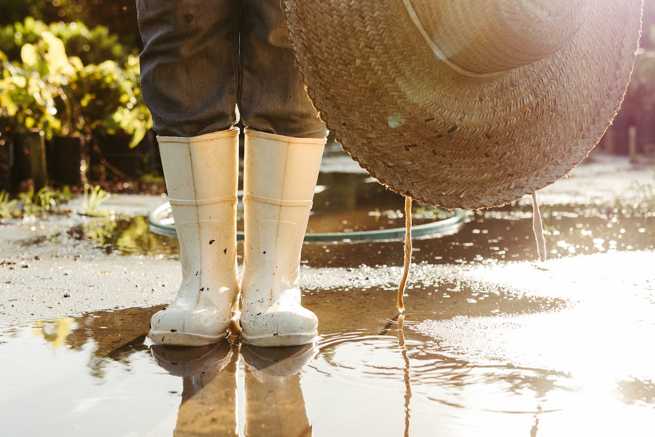 How Do Plumbers Detect and Locate Underground Water Leaks