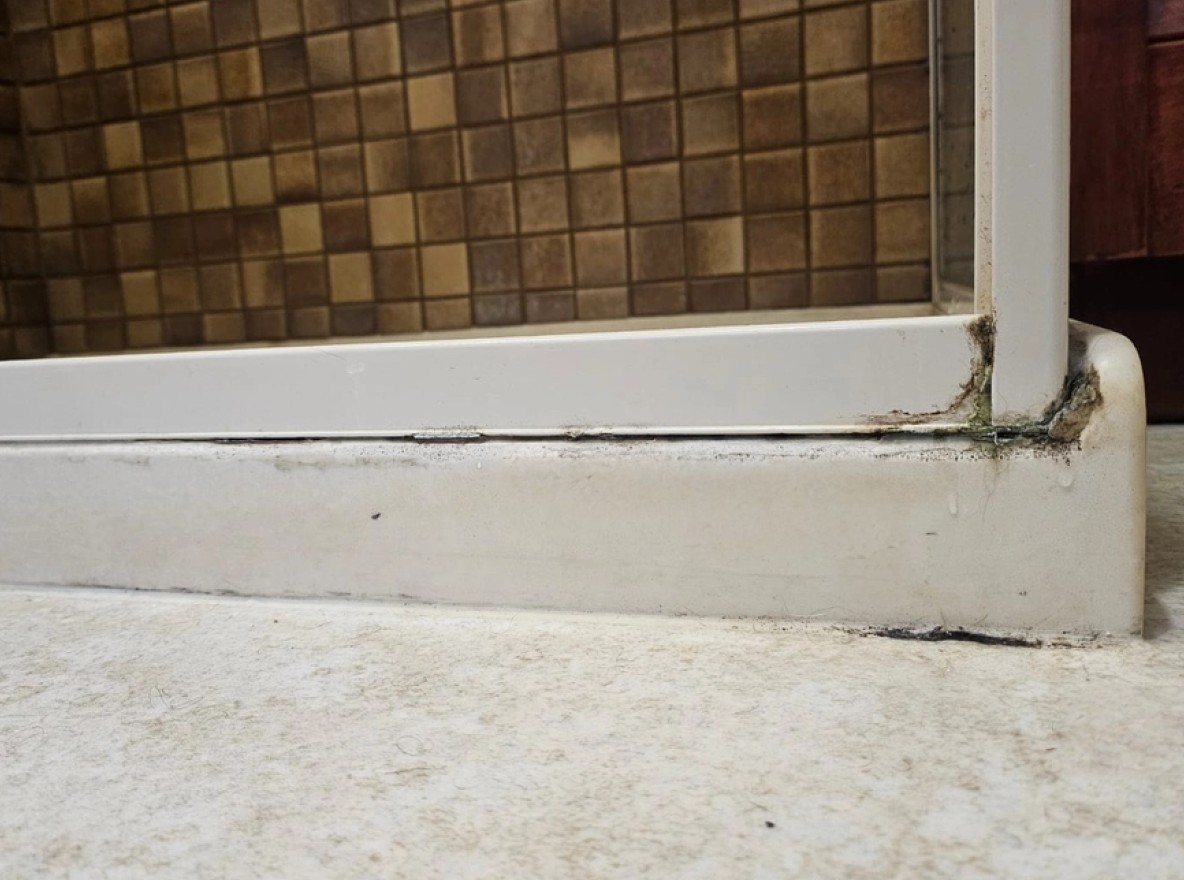 Water Leaks and Mould