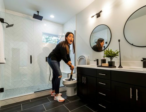 Blocked Toilet: Common Causes & Fast Fixes