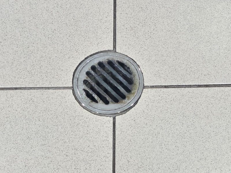Old Shower drain