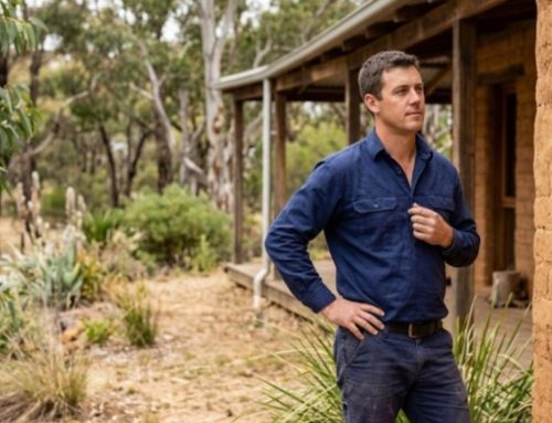 Why Mud Brick Homes in Eltham Need a Different Approach to Plumbing