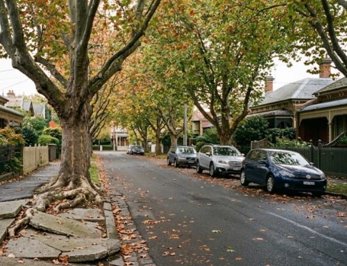 Why Kew’s Leafy Streets Cause More Blocked Drains Than You’d Think